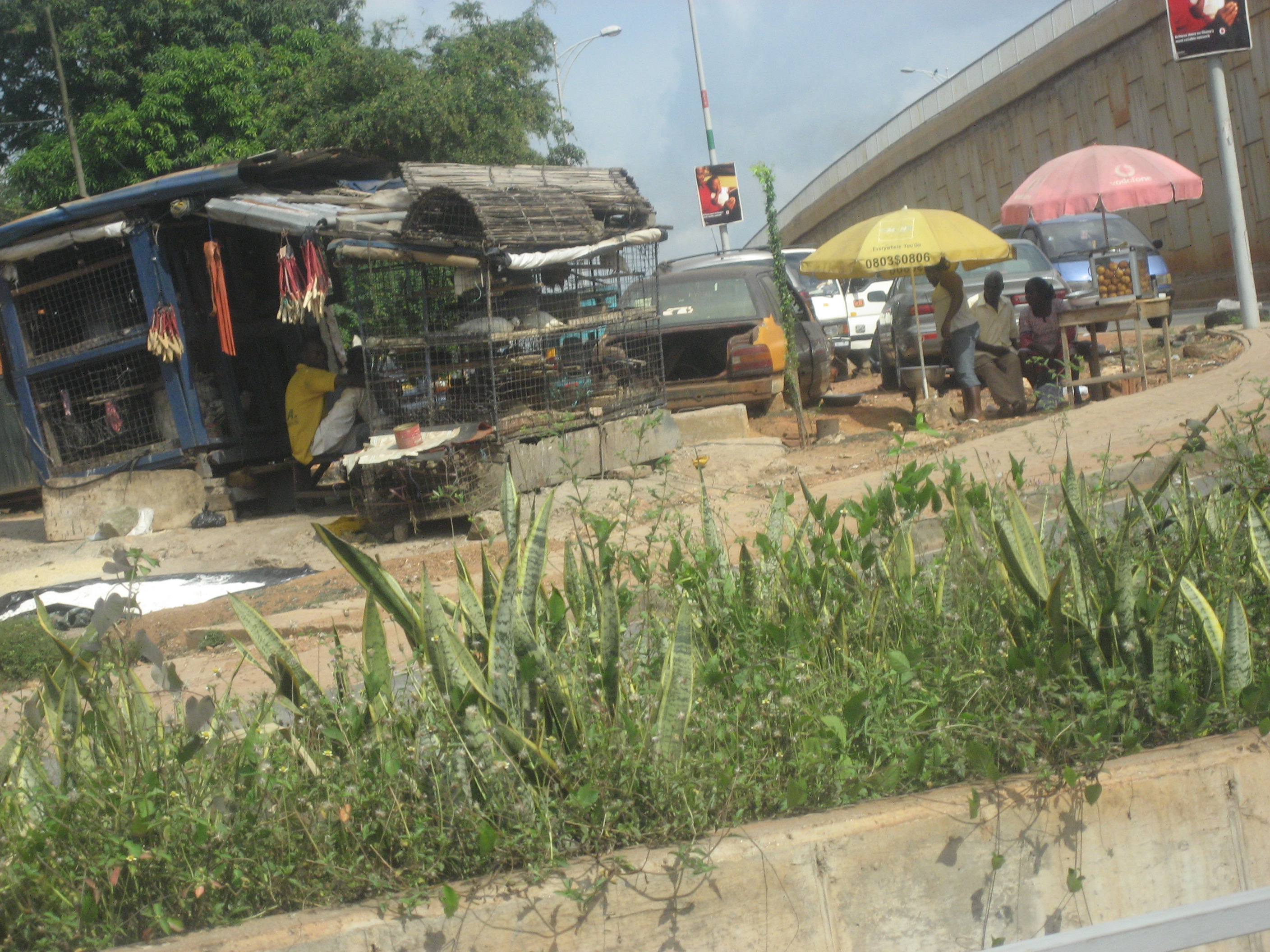 USA 2013&Ghana 195.JPG