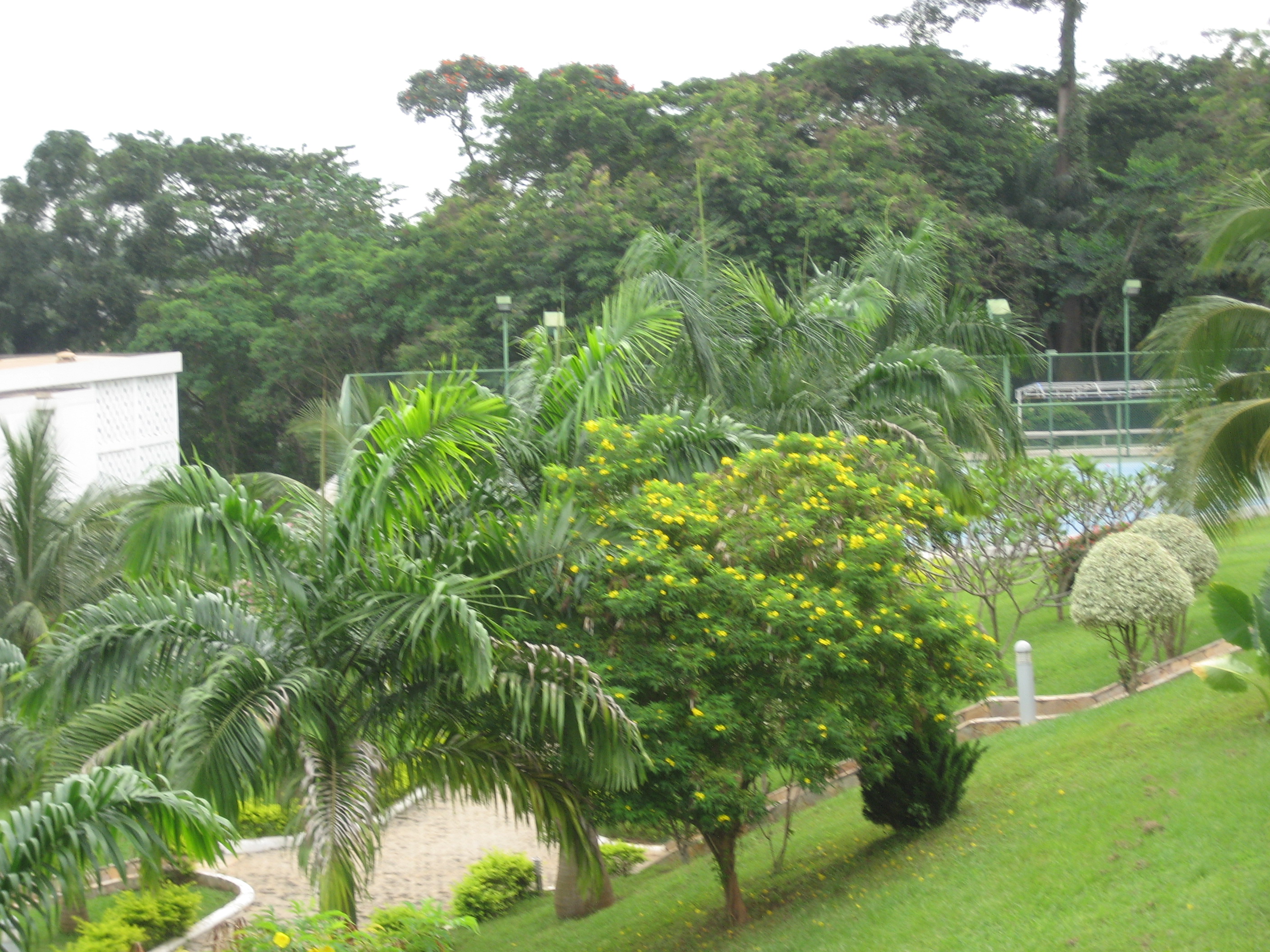 USA 2013&Ghana 203.JPG