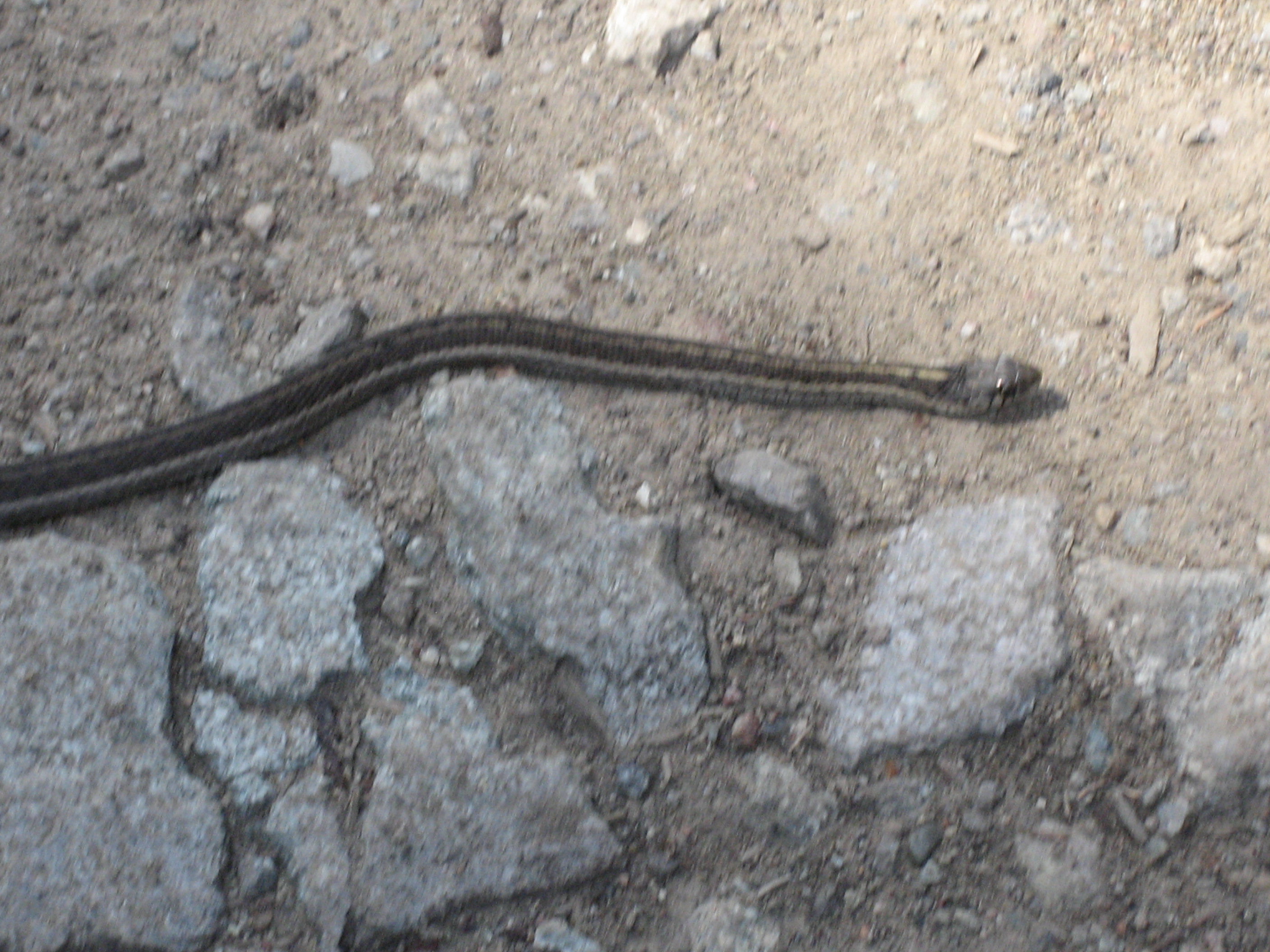 USA 2013&Ghana 151.JPG